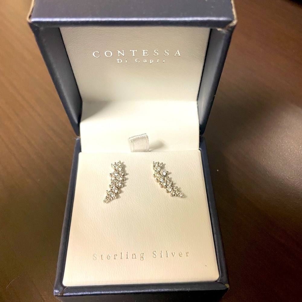 Wing Earrings!